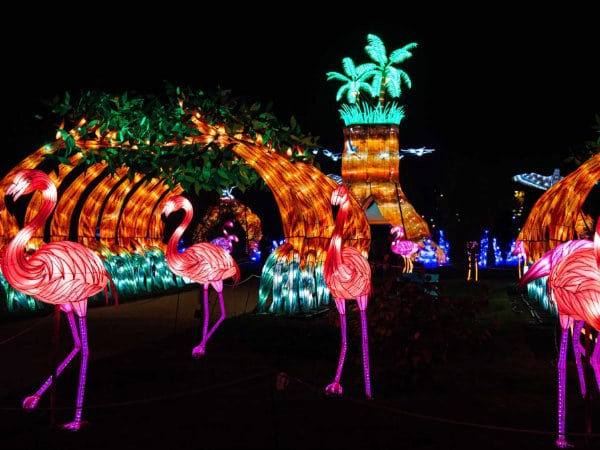 Noël au parc villepinte avec l'Evenement Spectacle, exposition la féérie des lumières